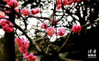 ​新年祝福语2023最火简短，10条不落俗套的新年祝福