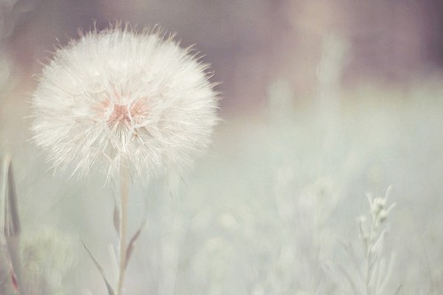 情人节发的说说秀恩爱 简短低调秀恩爱句子(77句)