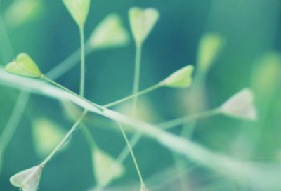 ​好的qq群名174个