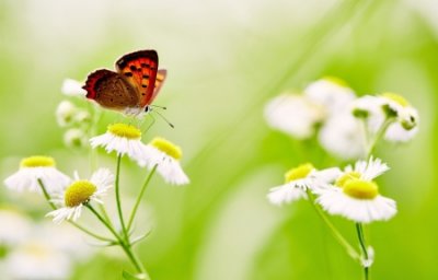 ​石器时代名字大全精选137个