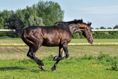 ​飞车名字大全精选123个