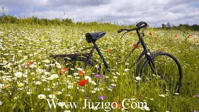 对自己狠一点经典句子(对自己狠一点的励志句子有哪些)