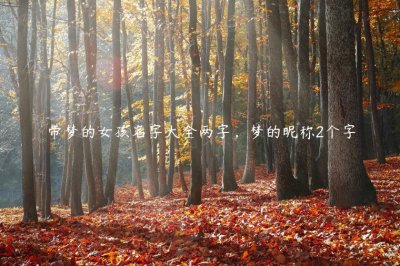 ​带梦的女孩名字大全两字，梦的昵称2个字