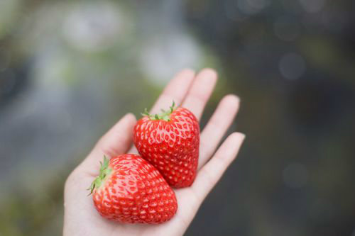 艾斯德斯经典语录21句