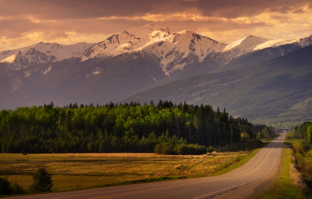 个性微信号id号大全大全精选122个