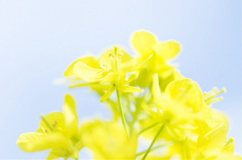 名人关于青春的句子35句