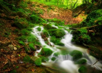 ​扣扣网名大全精选106个