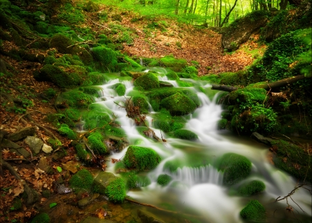 扣扣网名大全精选106个