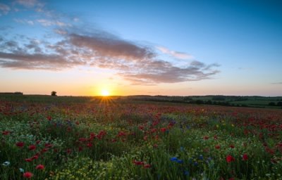 ​好听的帮派名大全精选97个
