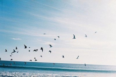 ​女生性说说84句