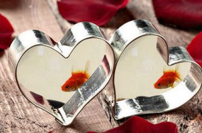 ​我的经典句子