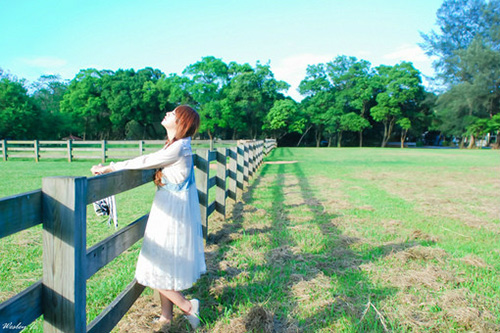 5个字的好句大全(70句)