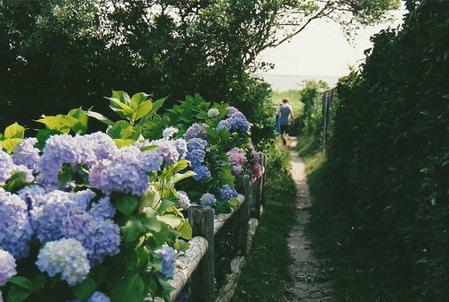 你好九月唯美文案(精选89句)