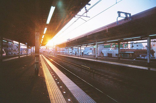 有关樱花的唯美句子 描写樱花的唯美句子(25句)