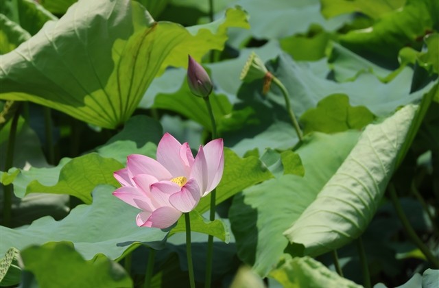 女士可爱的网名(1054个) 女士可爱的网名(1054个)