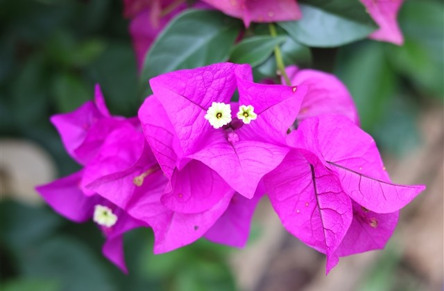 最新版适合女生用的网名(共1033个) 最新版适合女生用的网名(共1033个)