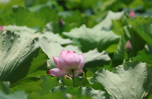 2023最新四个字的游戏名字(共1039个) 2023最新四个字的游戏名字(共1039个)