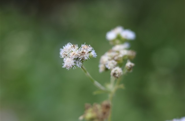 特别悲伤的三字网名(933个) 特别悲伤的三字网名(933个)