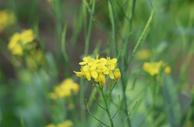 有内涵的男性微信网名 有内涵的男性微信网名