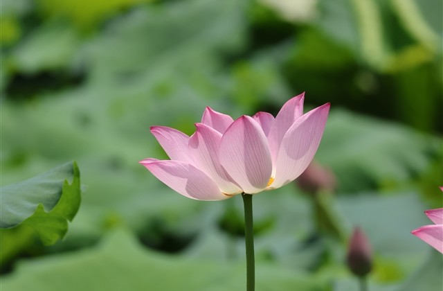 简单好看男生网名(851个) 简单好看男生网名(851个)