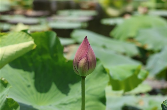 2023年好听的微信昵称(精选831个) 2023年好听的微信昵称(精选831个)