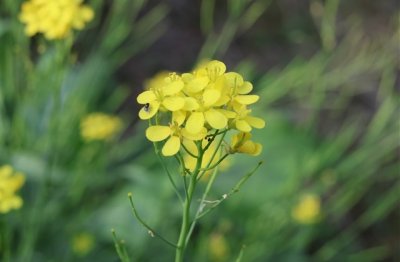 ​精选分手伤感网名(优选457个)