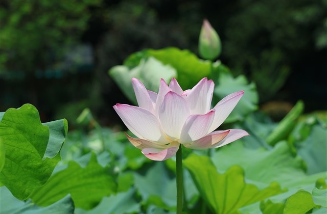 九阴真经诗意的名字(共463个)