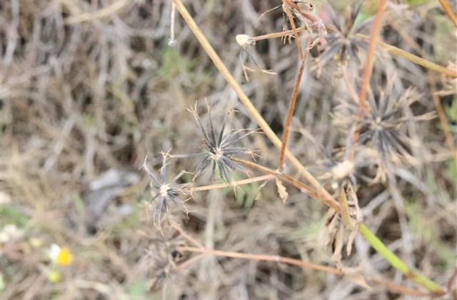 超拽重口味的女生网名(共224个) 超拽重口味的女生网名(共224个)