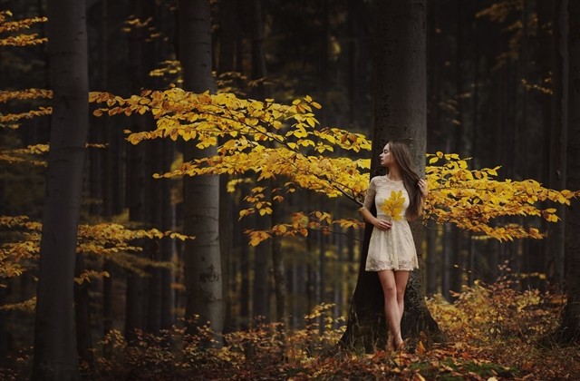 超好听的文艺感满满的词牌名网名(精选221个)