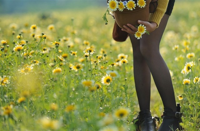 超好听的文艺感满满的词牌名网名(精选221个)