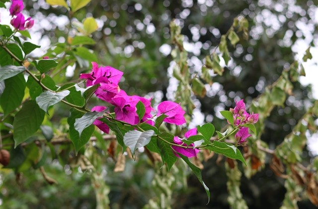 简单而不失格调的网名(228个)