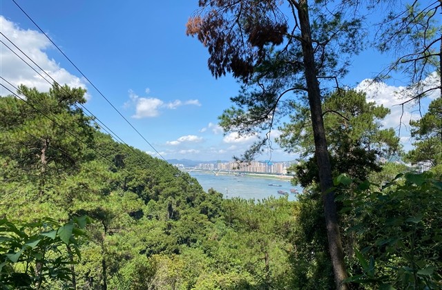 诗意好听的qq网名(191个) 诗意好听的qq网名(191个)