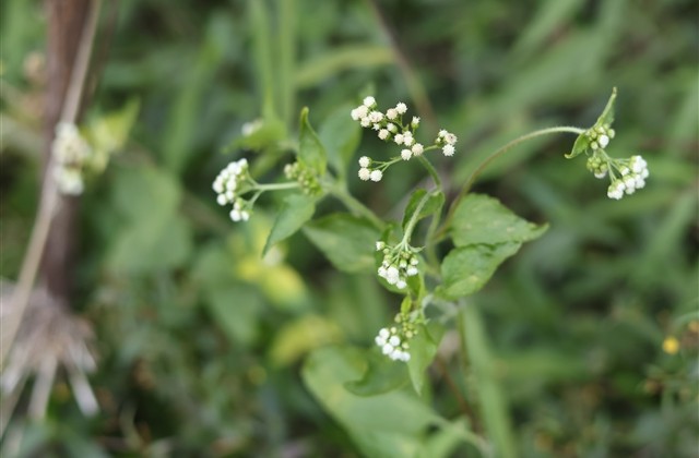 豆瓣最好网名 豆瓣印象深刻网名