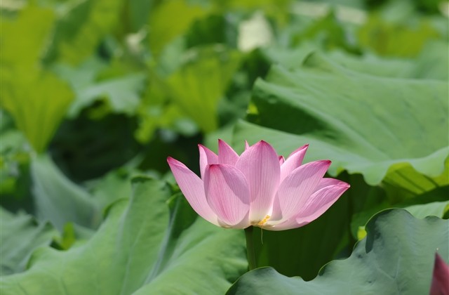 简单看起来舒服的网名 简单看起来舒服的网名