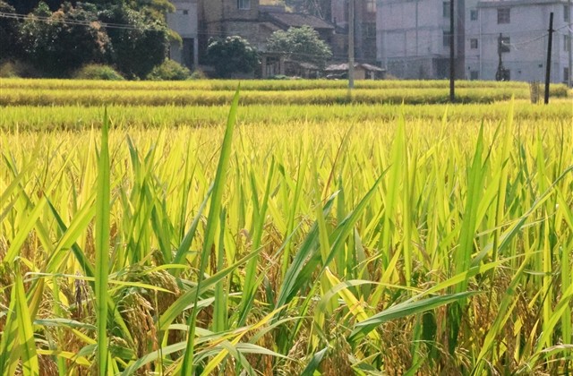 简单看起来舒服的网名 简单看起来舒服的网名