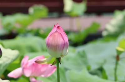 ​四个字内涵网名(精选701个)