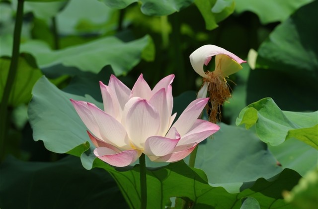 最长最好看的网名(精选386个)