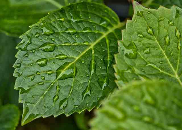 写给自己的现实走心句子（精选89句）