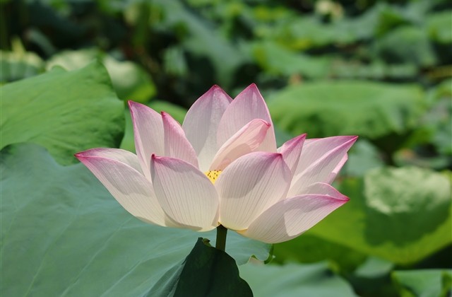 天涯明月刀唯美的名字(共362个) 天涯明月刀唯美的名字(共362个)