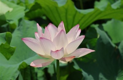 ​女生群聊的霸气名字(优选372个)