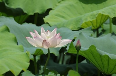 ​男孩子沙雕网名(精选335个)