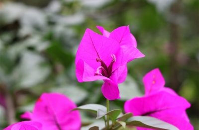 ​梦幻西游稀有网名(优选284个)