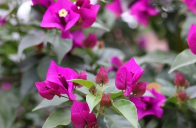 ​听起来很酷的网名