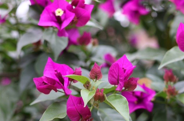 听起来很酷的网名