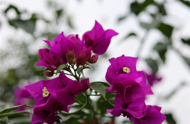 新春伤感男女QQ网名(158个)