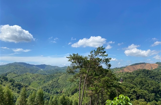 男生呆萌憨憨名字(共177个)