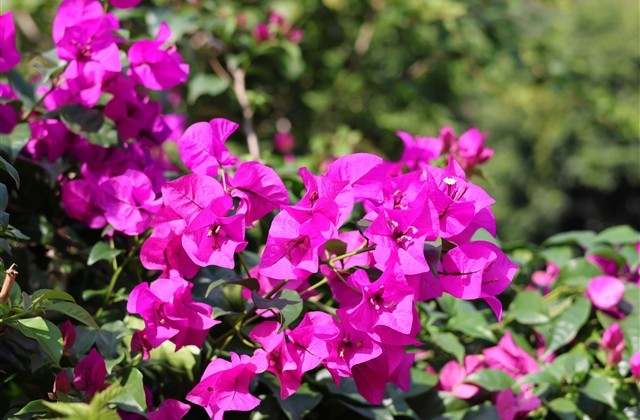 qq飞车情侣CP名字(共94个) qq飞车情侣CP名字(共94个)