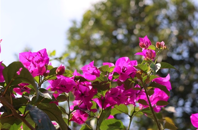 比较吸引女人的网名男稳重大全(精选171个)