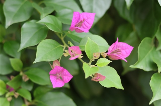 让人过目不忘的游戏id(共202个)