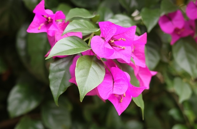 男生比较皮的网名(精选185个) 男生比较皮的网名(精选185个)